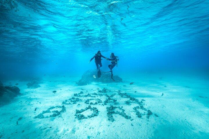 Romantic dive in the lagoon of Bora Bora. Private instructor on a shared boat