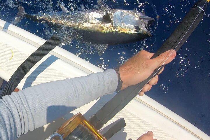 Bluefin Tuna Fishing Charter in the Egadi Islands