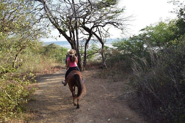 Horseback Riding Tour in Playa Maderas, San Juan del Sur also in Costa Rica