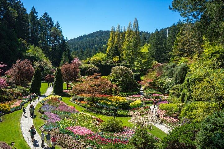 Discover Victoria & Butchart Gardens Tour from Vancouver