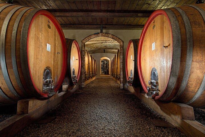 Langhe (Piedmont): Wine Tasting Experience 