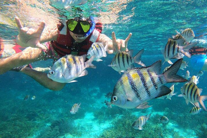 3 Hours VIP Semiprivate Tour Isla Mujeres Full Snorkeling Experience 