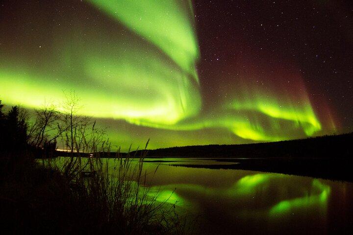 The Greatest Valuable Aurora Manor & Hunting Tour --Exclusive Tour Operator