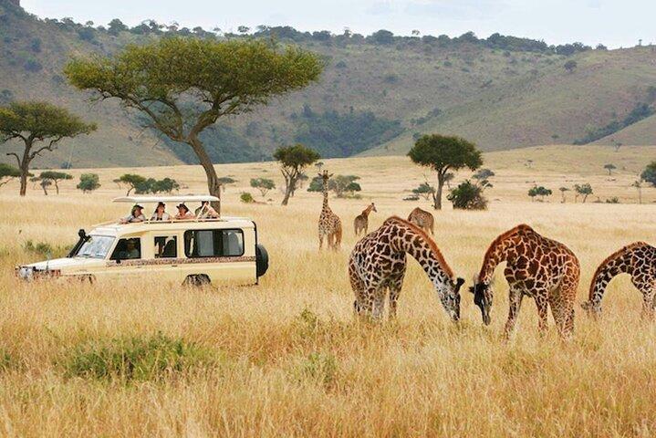 5 Days Safari in Tanzania | Camping and Lodge Safaris 