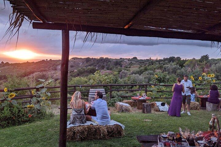 Winery tour and tasting at sunset in the countryside from Tropea