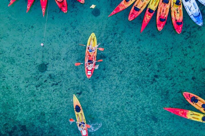 Kayak Tour and Snorkelling from Fornells 
