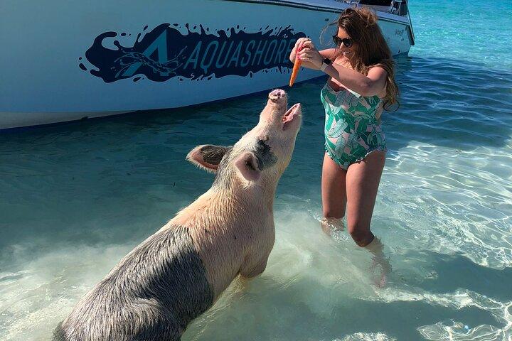 Exuma Powerboat Tour from Nassau with Swimming Pigs
