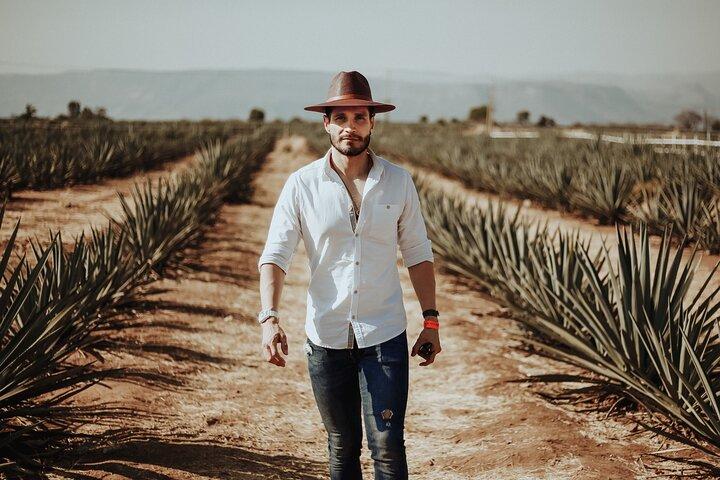 Private Tour to Tequila with tasting, liquors and visits.