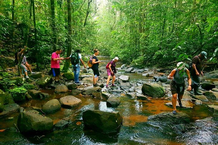 Sri Lanka Sinharaja Rain Forest Tour