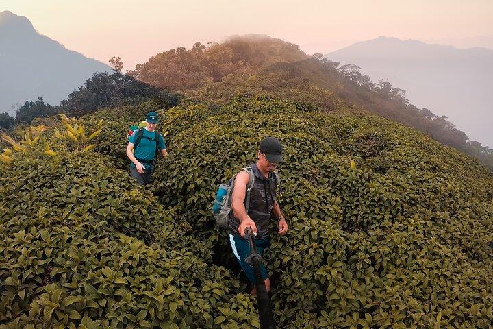 Knuckles Mountain Range Hiking and Trekking Day Tour From Kandy Hotels