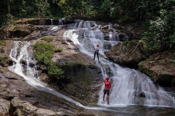 Jungle Canopy Zipline & Waterfall Rappelling - Bocawina Falls