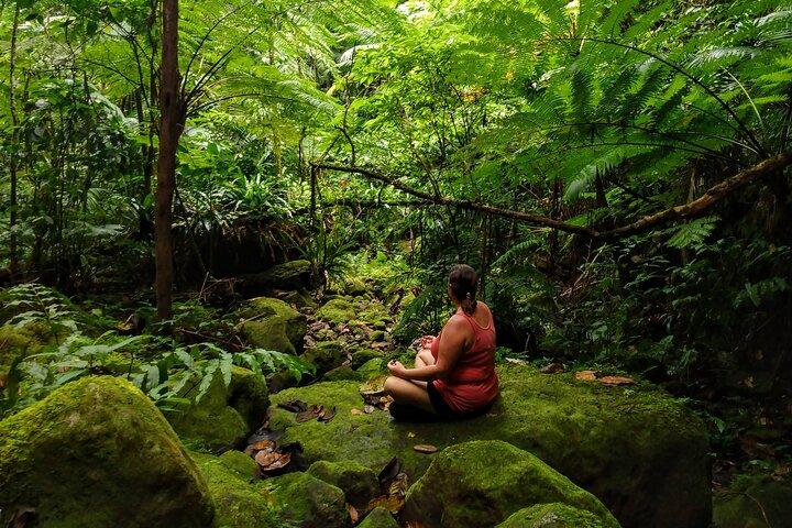 Walking Meditation Rainforest Hike, Volcanic Hot Springs