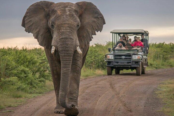 5 Day Garden Route and Addo Safari - Best of South Africa Small Group Tour