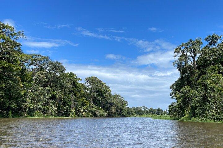 Tortuguero Canal Tour by Canoe 