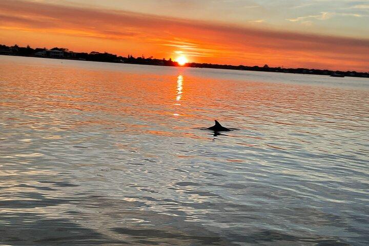 Adventure Boat Tours - Sunset Water Tour in St. Augustine