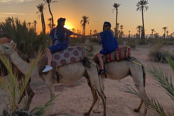 Sunset Camel Ride in Agadir or Taghazout With Transfers