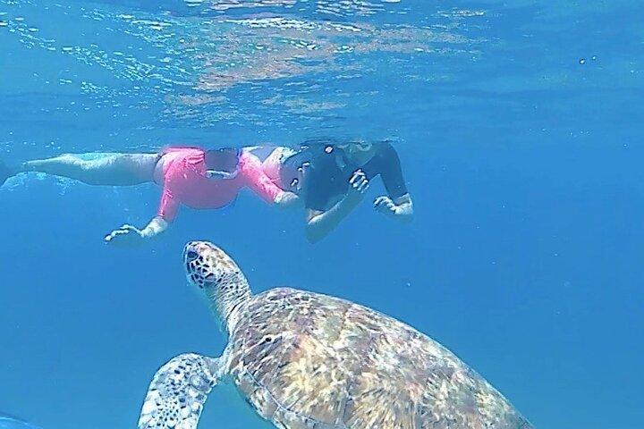 São Pedro experience (hiking & snorkeling with turtles)