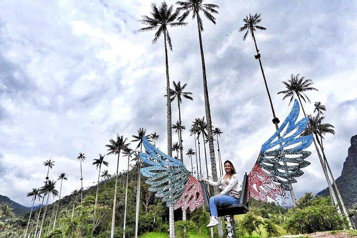 Salento and Cocora Valley Hike Day Tour from Pereira