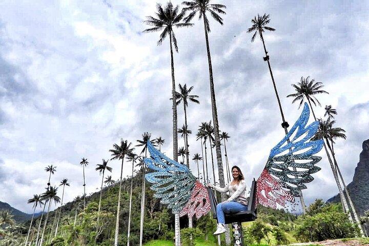 Cocora Valley and Salento Hike Tour