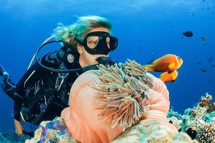 Full-Day Scuba Diving Experience in Marsa Alam with Lunch 