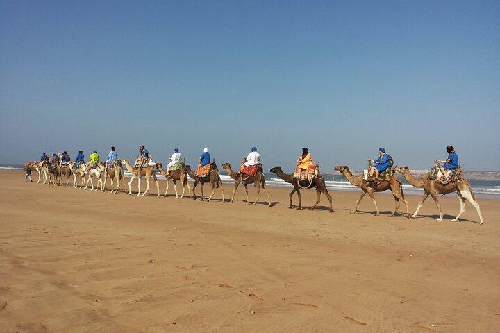 Essaouira 1 Hour Private Camel Ride