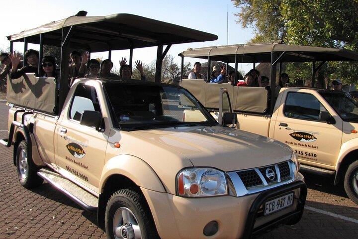 Full Day Safari Shared Tour at Kruger National Park 
