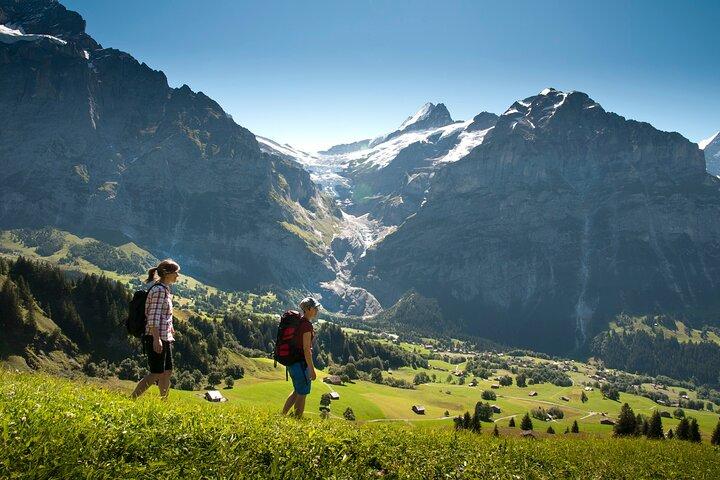 Swiss Villages Grindelwald and Interlaken Day Trip from Zurich