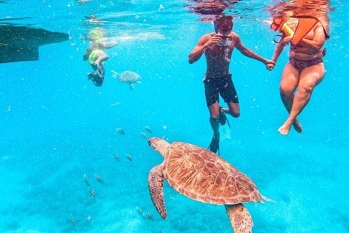 São Vicente: Snorkel Experience with Sea Turtle