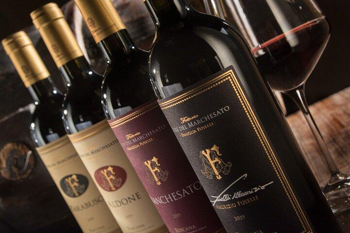 Bolgheri: Premium Wine Tasting with Winery Tour