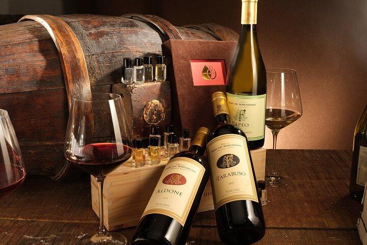 Bolgheri: Sensorial Wine Tasting with Winery Tour