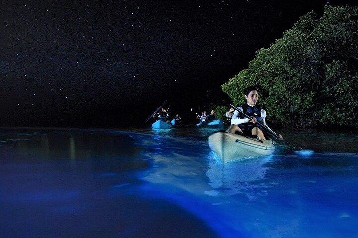 Bioluminescence Tour in Kayak in Holbox Island