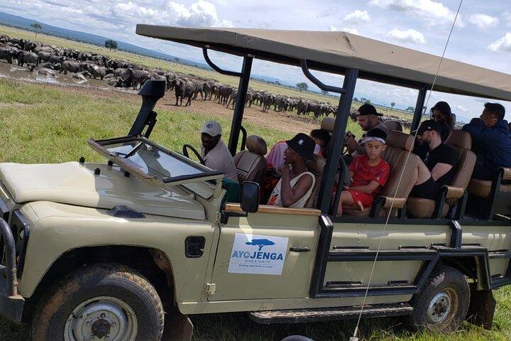 Full-Day Private Safari at Mikumi National Park with Lunch