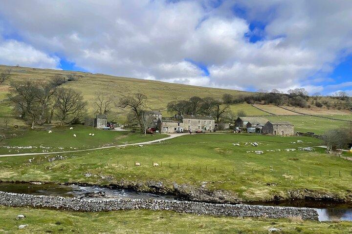 Private "All Creatures Great and Small" Yorkshire Dales Tour from Harrogate