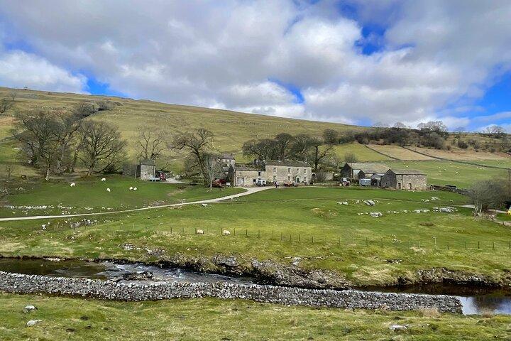 Private "All Creatures Great and Small" Yorkshire Dales Tour from York
