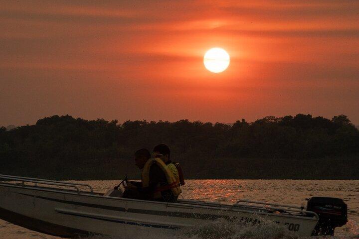 Paraguay River Nature and Wildlife Boat Tour from Asunción