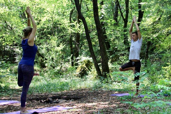 Mindful Yoga Retreat in Nature