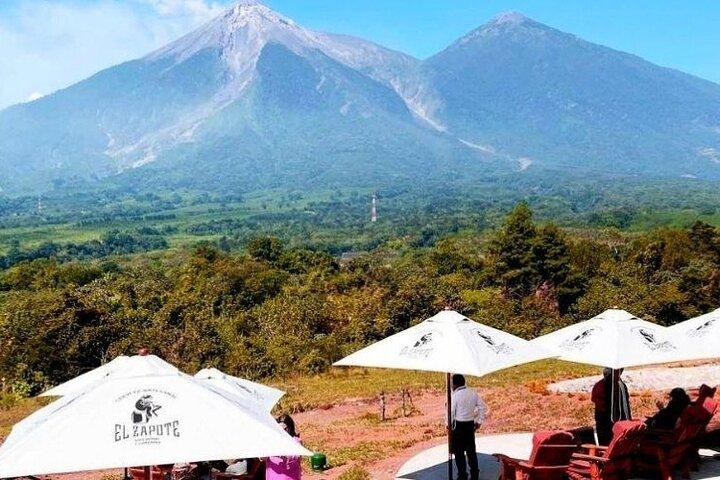 Half day San Cayetano farm and coffee tour from Puerto Quetzal