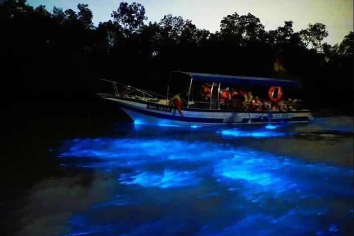 Amazing Fireflies With Blue Tears Watching & Kuala Selangor Tour