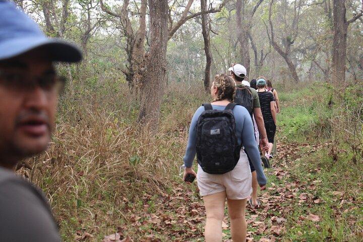 3-Day Chitwan National Park Jungle Safari Tour Package with Pick Up