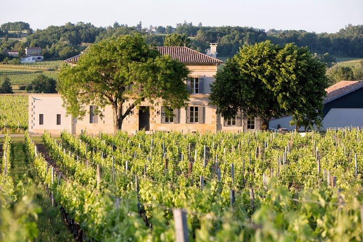 Saint Emilion Half-Day Trip with Wine Tasting & Winery Visit from Bordeaux