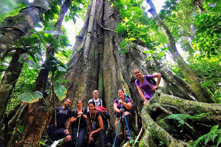 6-Day Trekking Expedition around in Ilha Grande with Local Guide - small group