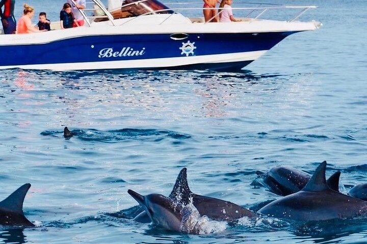 Fully Day Tour: Dolphin Encounters, Crystal Rock at Benitiers Island