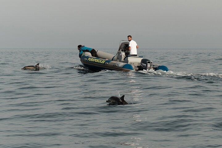 Private Tour with Dolphin Watching in Algeciras Bay