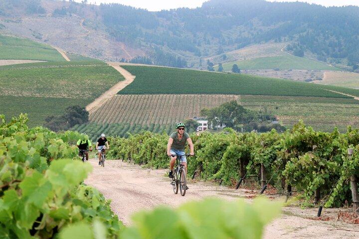 Stellenbosch Half Day Winelands Cycle Tour
