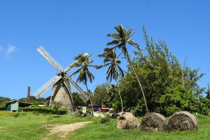 Barbados Shore Excursion: Bajan Highlights