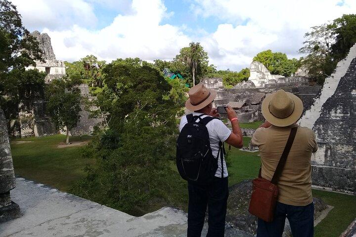 Tikal from Flores or Mundo Maya Airport with transportation, local guide and lunch