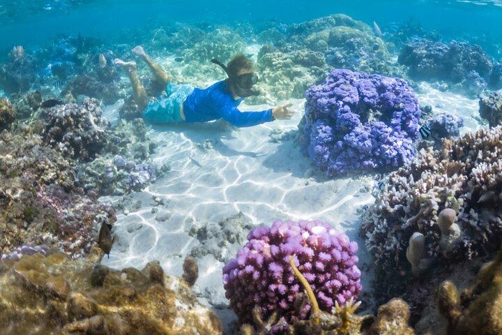 1/2 day Tahaa coral garden - departure Raiatea / ideal for cruise passengers