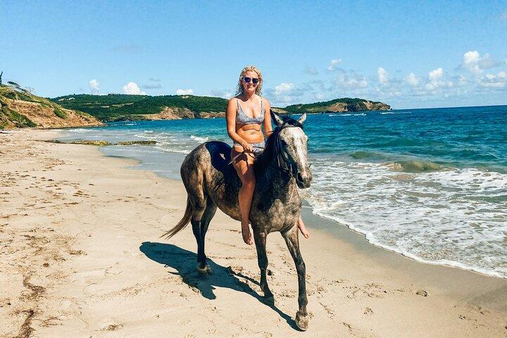 Private Beach Horseback Ride with Sandy Hoofs St. Lucia