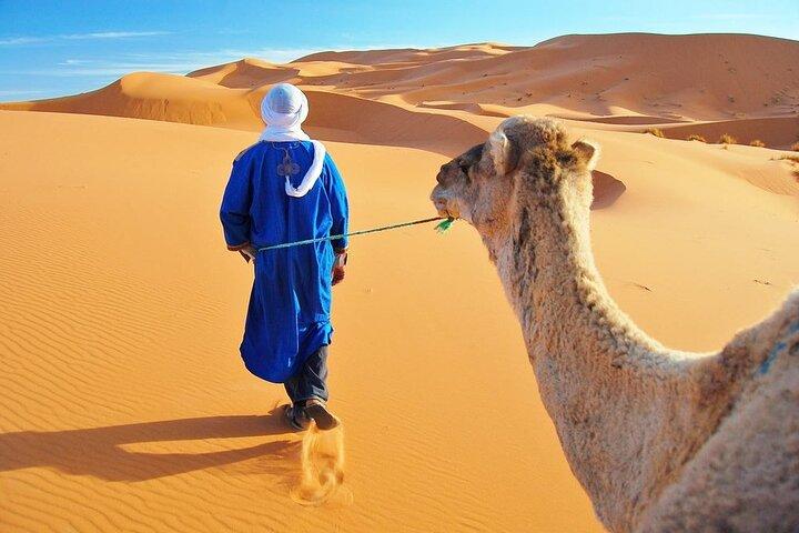 3 Hours Tangier Sightseeing and camel trek