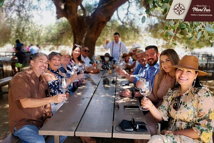 Valle de Guadalupe winery and brewery tours